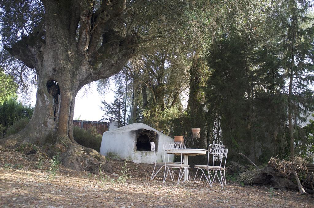 Villas De La Ermita Vejer de la Frontera Luaran gambar